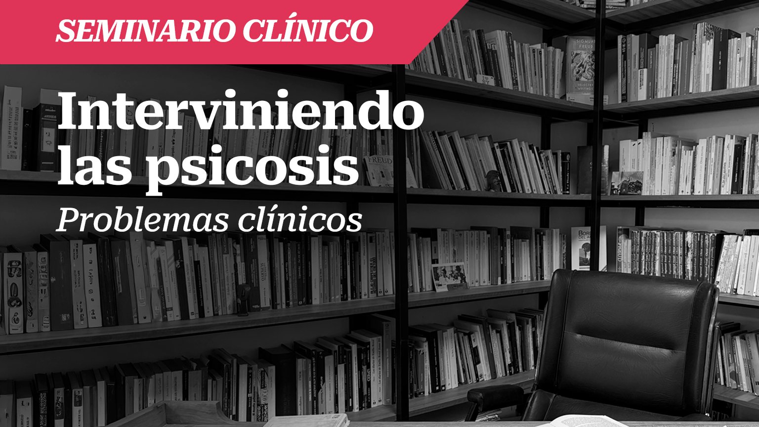 Seminario: Interviniendo las Psicosis