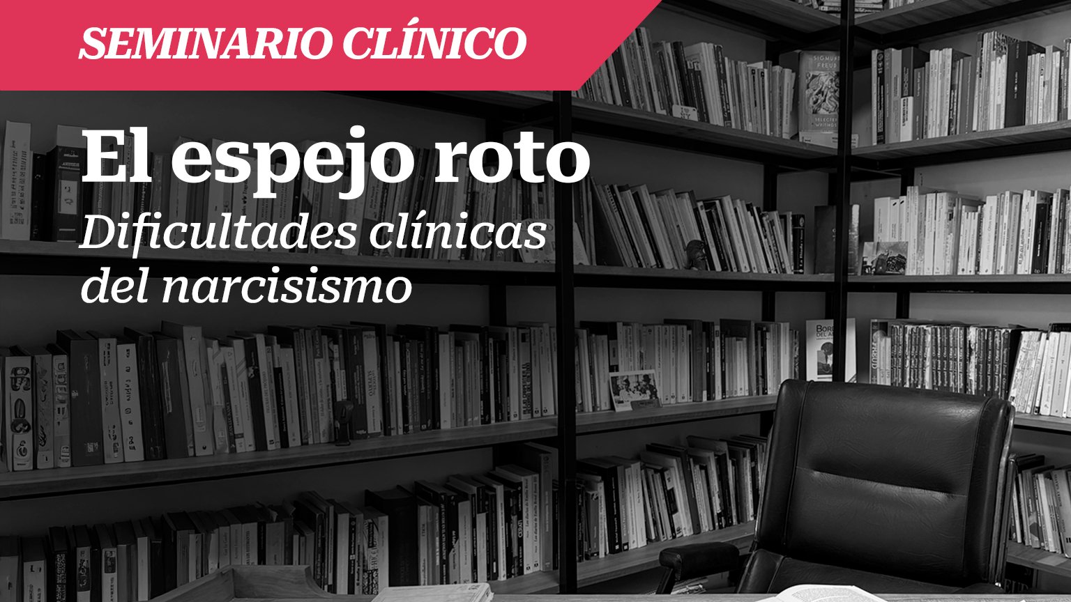 Seminario: El espejo roto. Dificultades clínicas del narcisismo