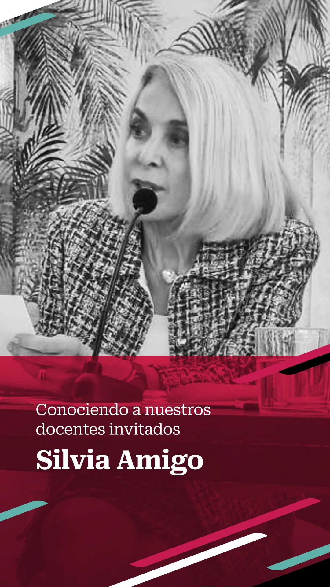 Docente Amigo